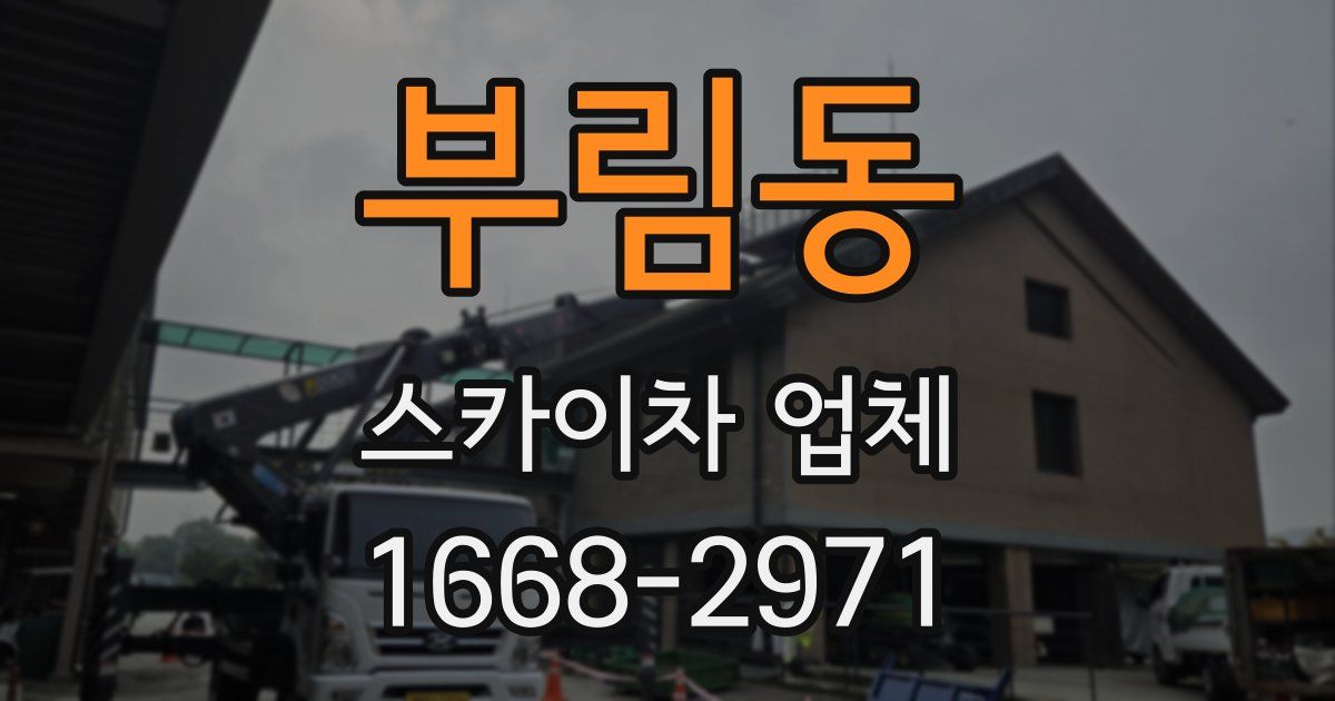 부림동 스카이차 업체