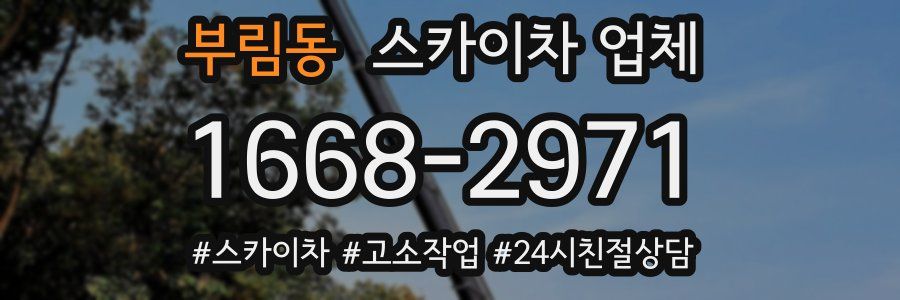 부림동 스카이차 업체