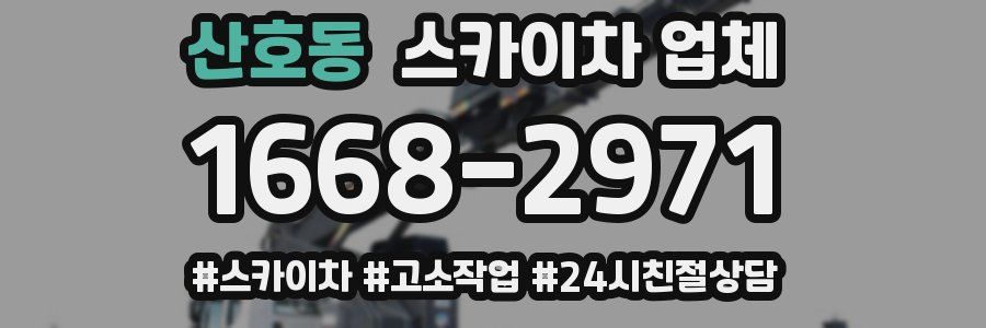 산호동 스카이차 업체