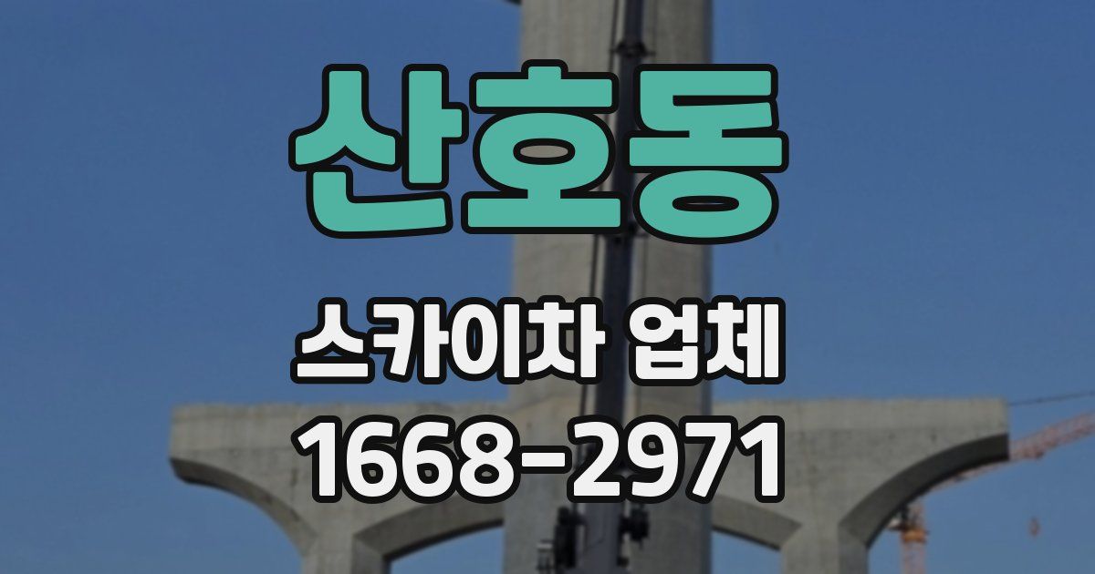산호동 스카이차 업체