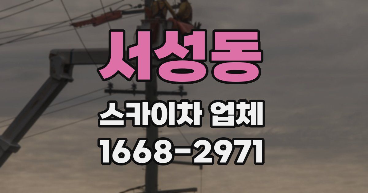 서성동 스카이차 업체