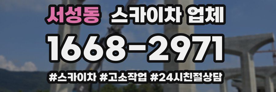 서성동 스카이차 업체