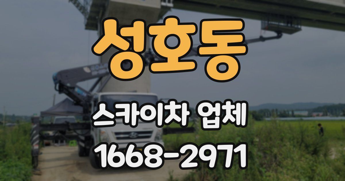 성호동 스카이차 업체