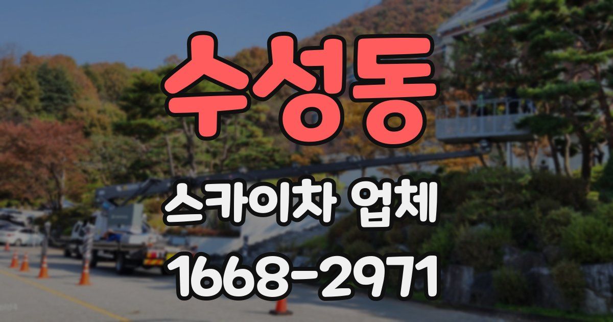 수성동 스카이차 업체
