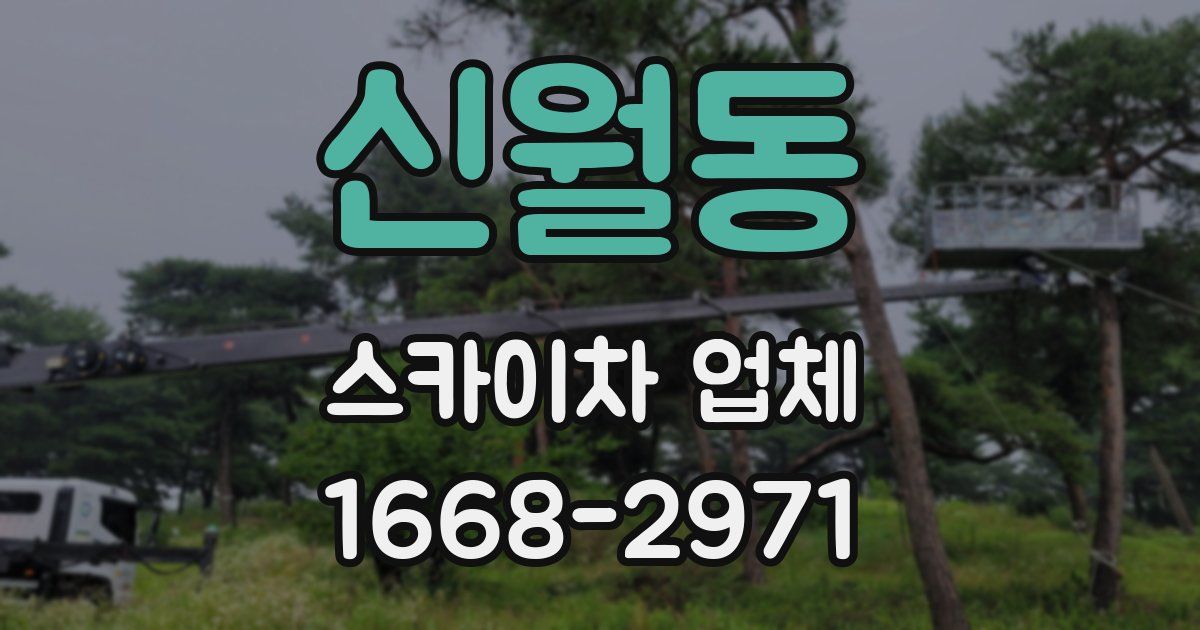 신월동 스카이차 업체