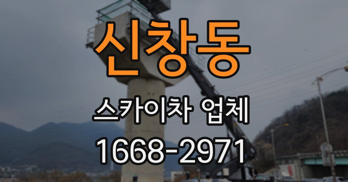 신창동 스카이차 업체