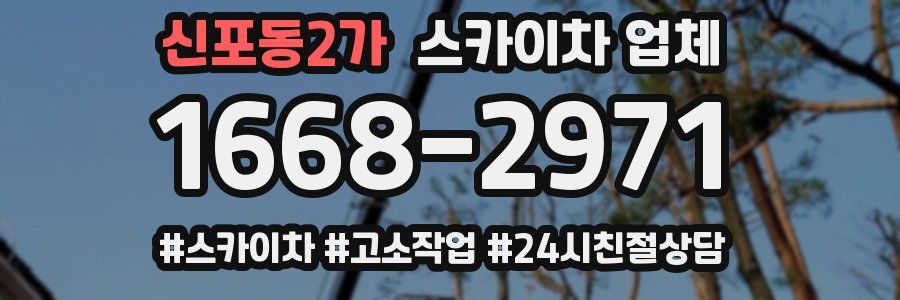 신포동2가 스카이차 업체