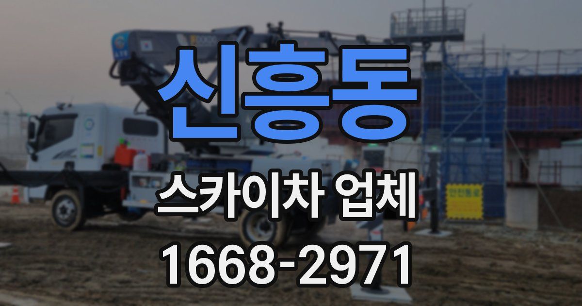 신흥동 스카이차 업체