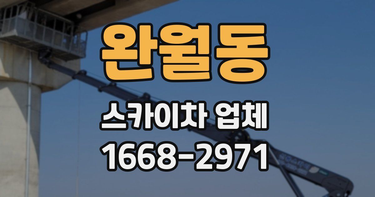 완월동 스카이차 업체