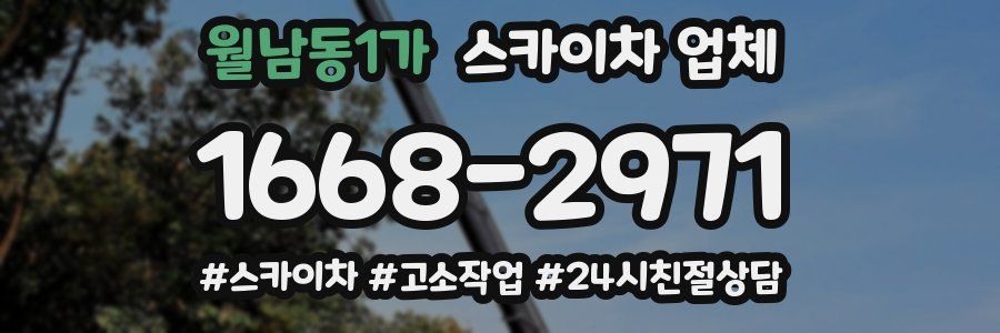 월남동1가 스카이차 업체