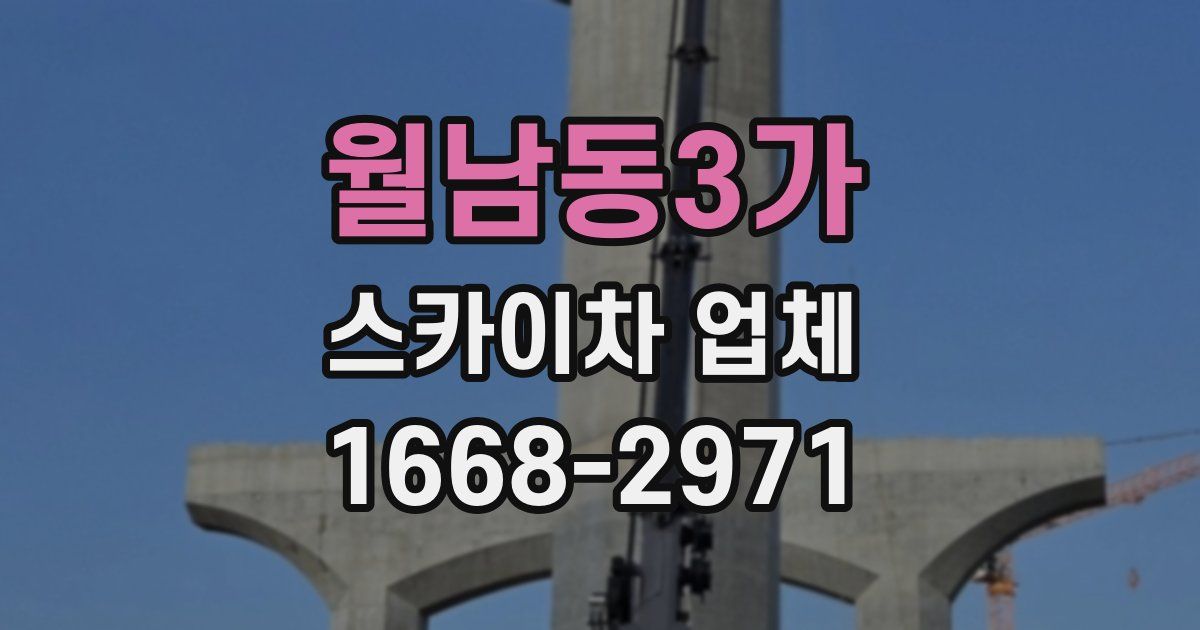 월남동3가 스카이차 업체
