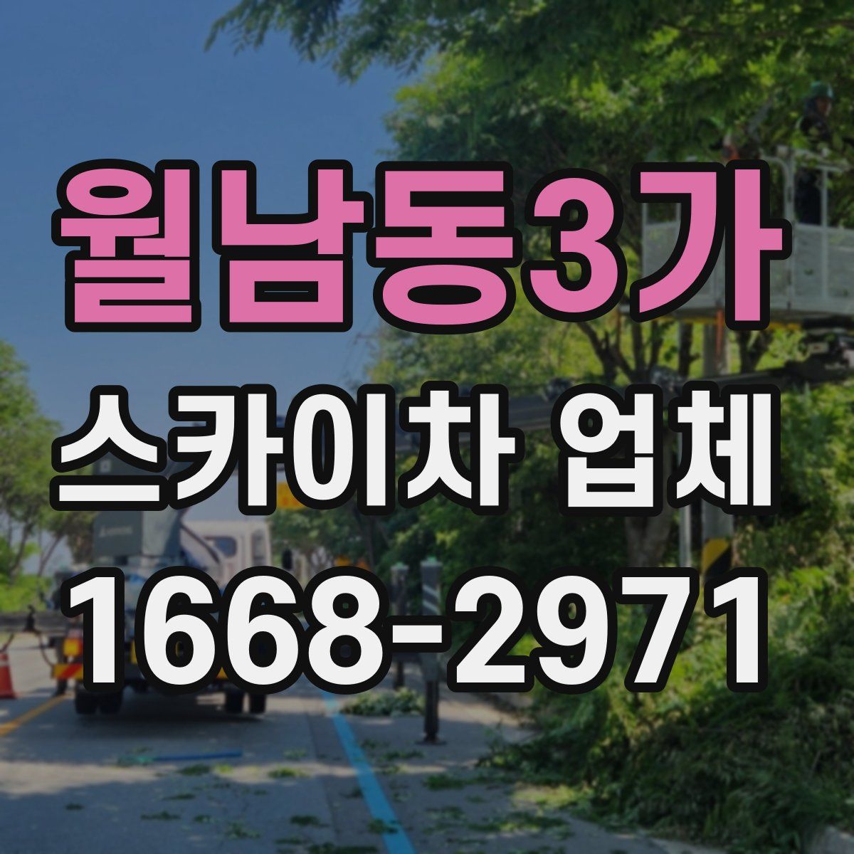 월남동3가 스카이차 업체