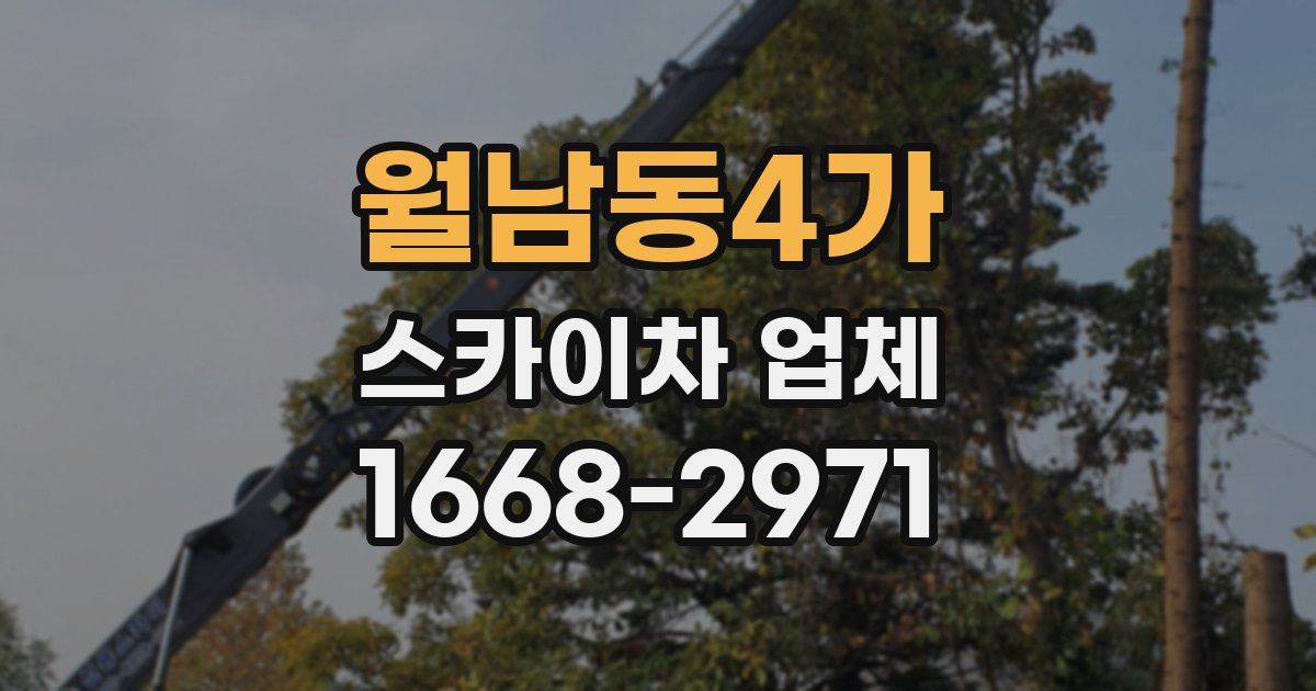 월남동4가 스카이차 업체