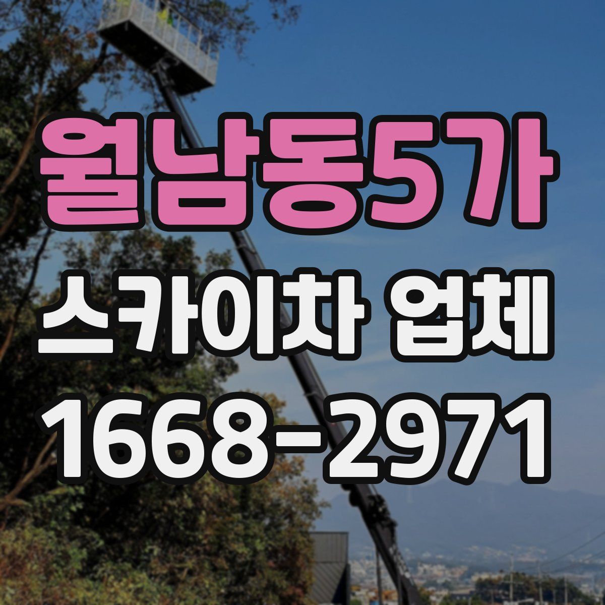 월남동5가 스카이차 업체