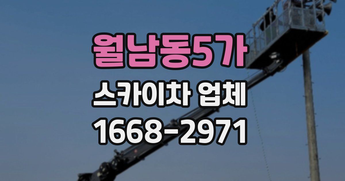 월남동5가 스카이차 업체
