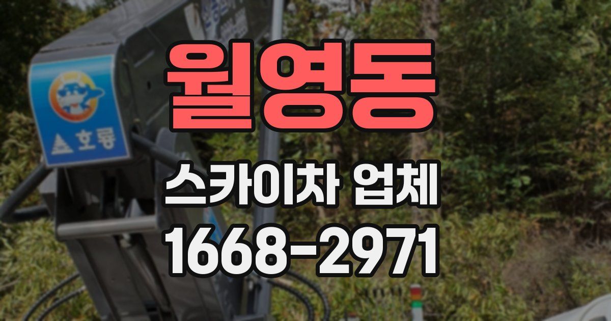 월영동 스카이차 업체