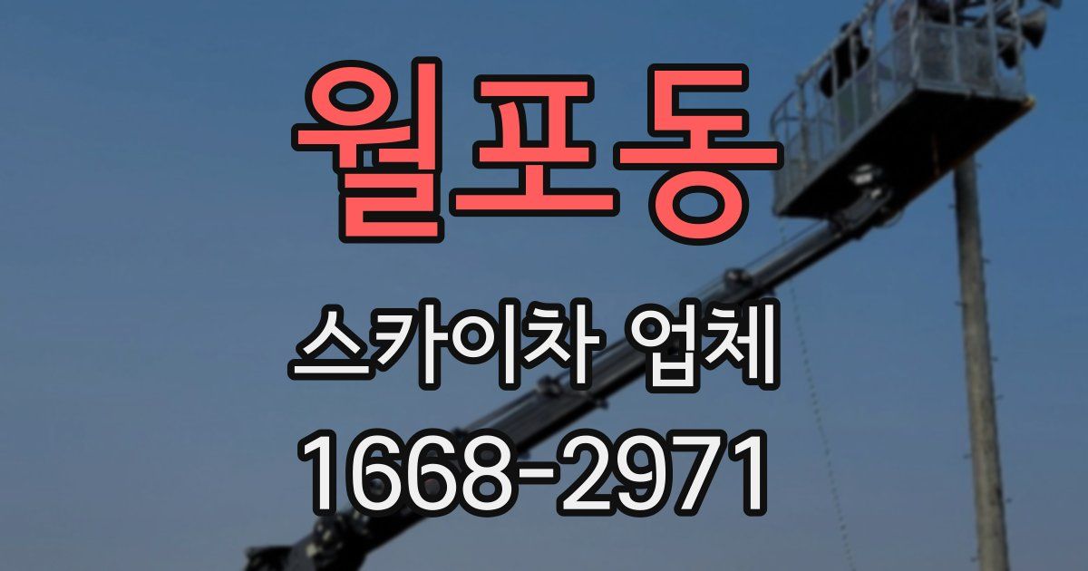 월포동 스카이차 업체
