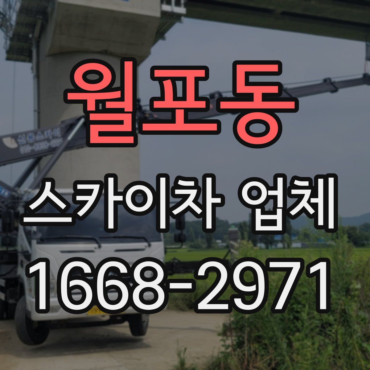 월포동 스카이차 업체