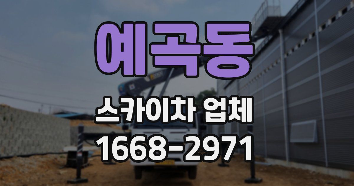 예곡동 스카이차 업체