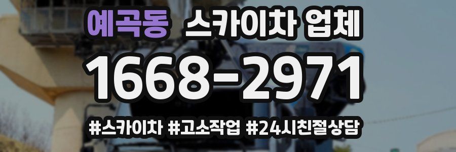 예곡동 스카이차 업체