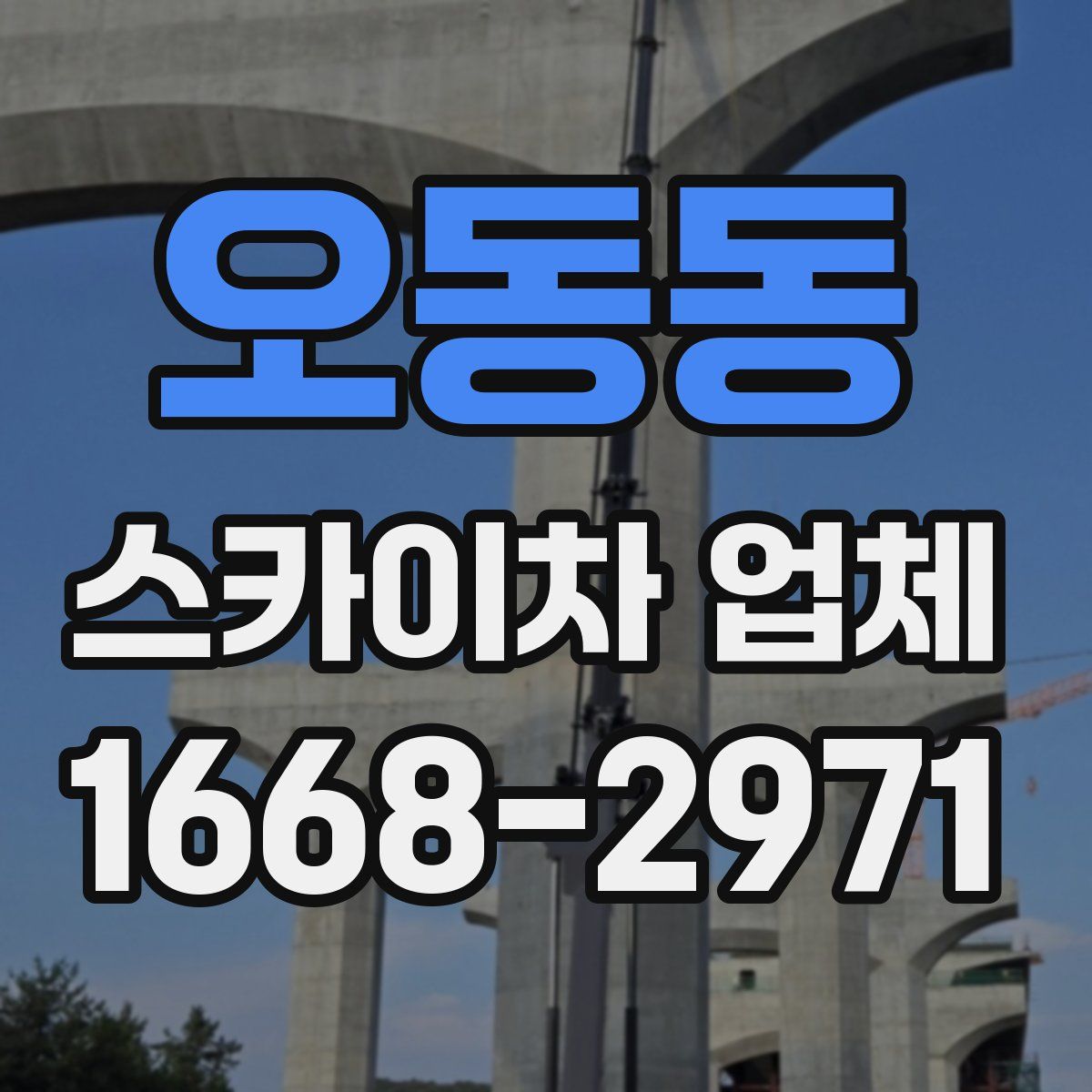 오동동 스카이차 업체