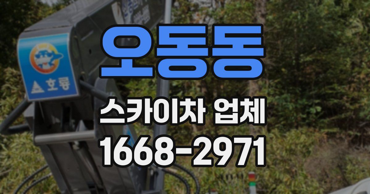 오동동 스카이차 업체