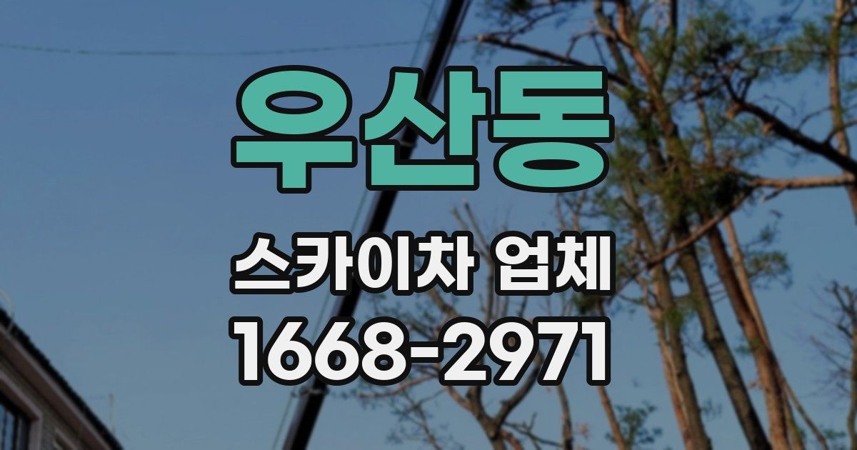 우산동 스카이차 업체