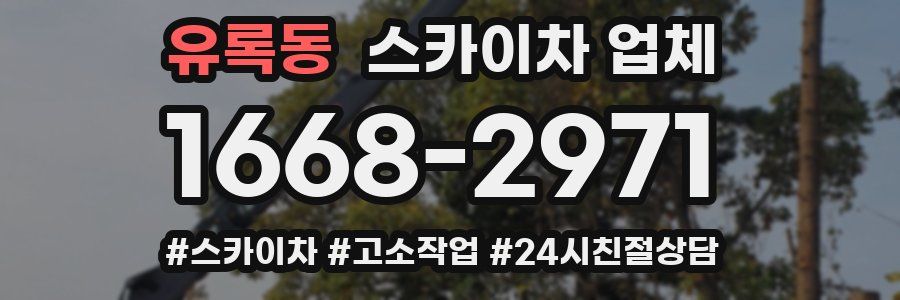 유록동 스카이차 업체