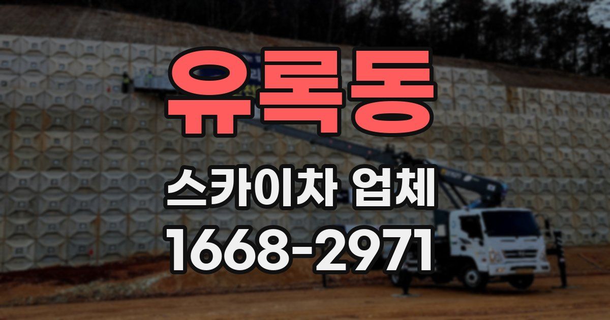 유록동 스카이차 업체