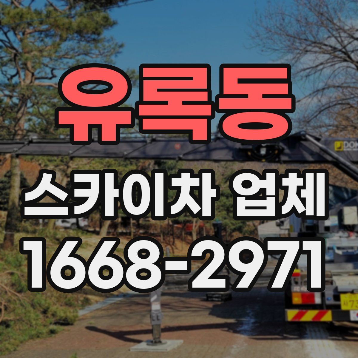 유록동 스카이차 업체