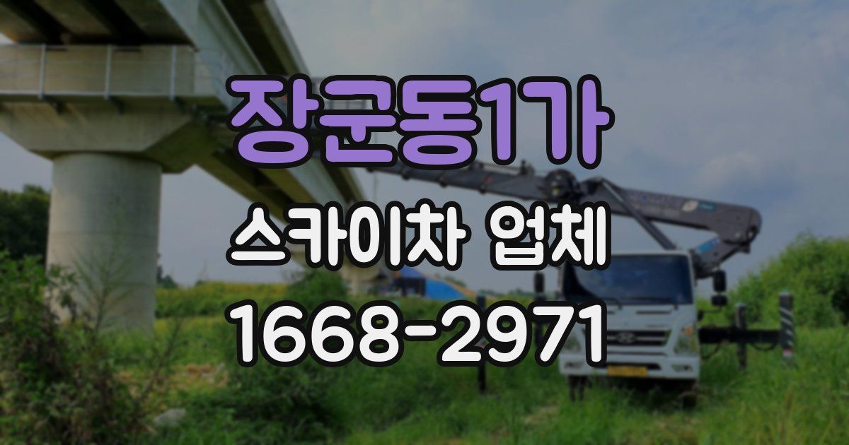 장군동1가 스카이차 업체