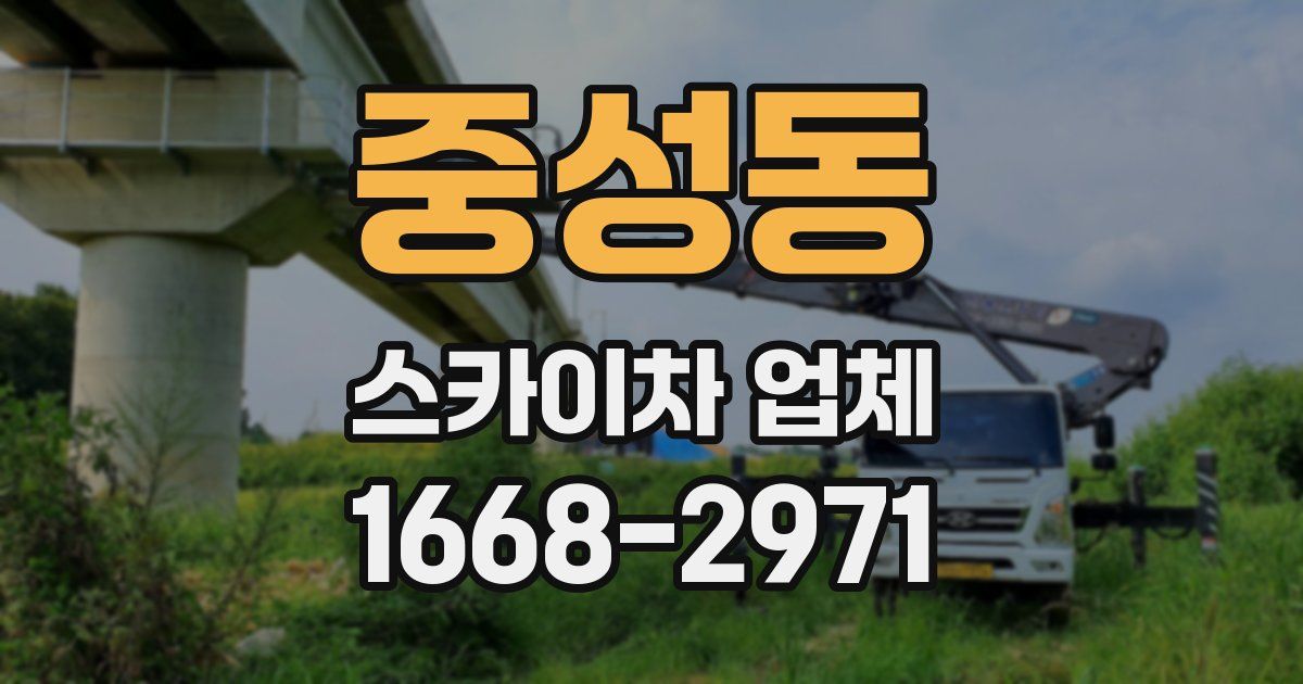 중성동 스카이차 업체