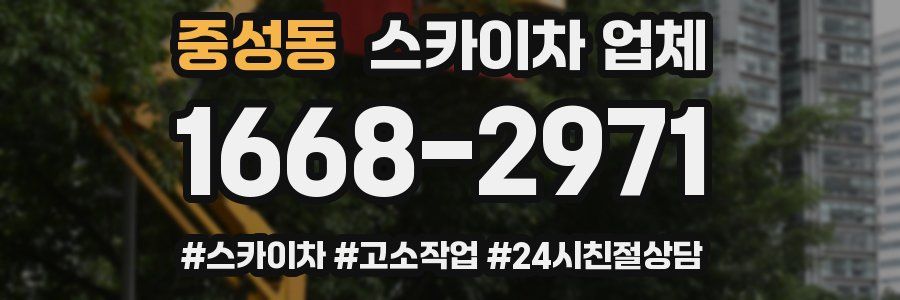 중성동 스카이차 업체