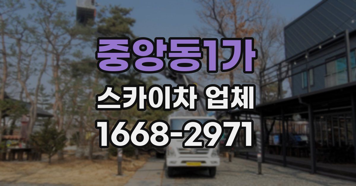 중앙동1가 스카이차 업체
