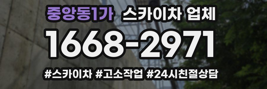 중앙동1가 스카이차 업체