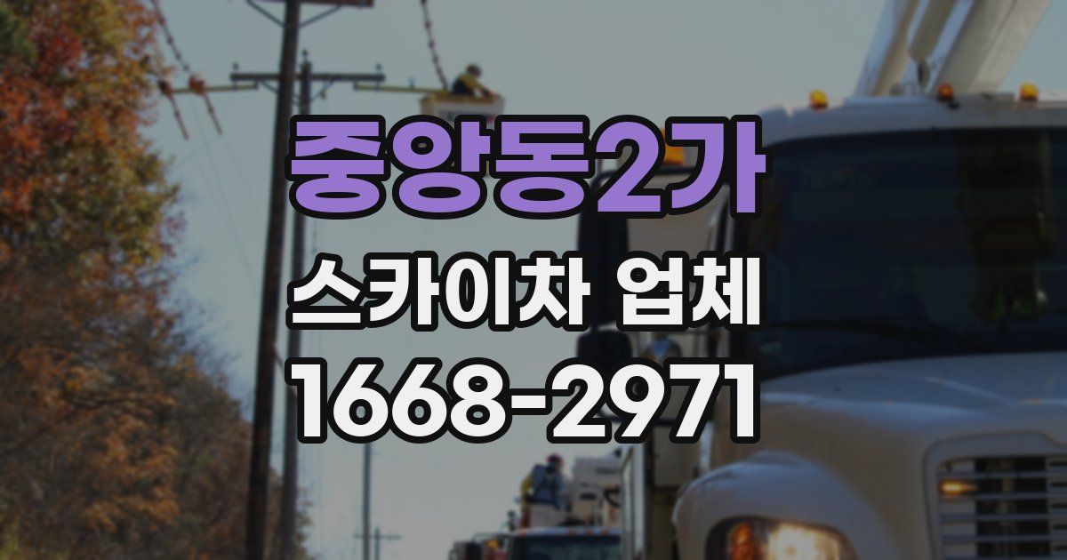 중앙동2가 스카이차 업체