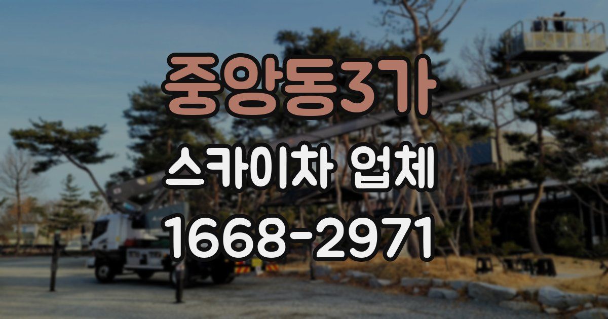 중앙동3가 스카이차 업체