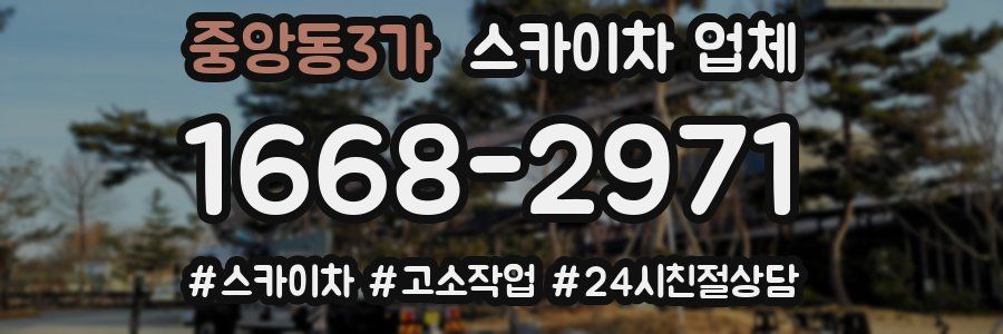 중앙동3가 스카이차 업체