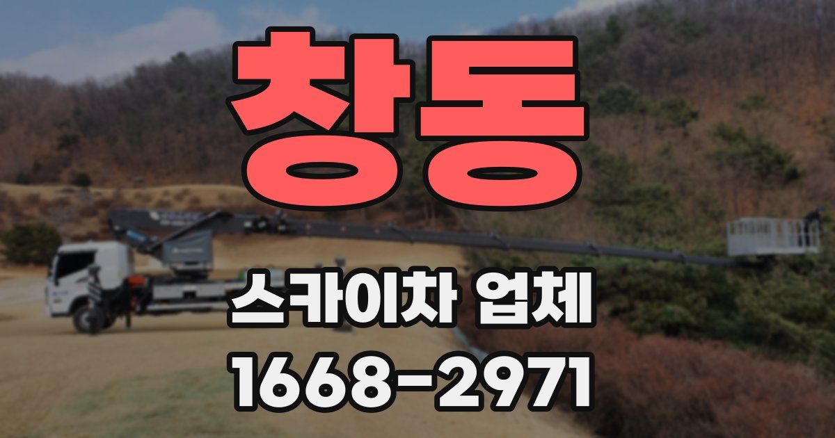 창동 스카이차 업체