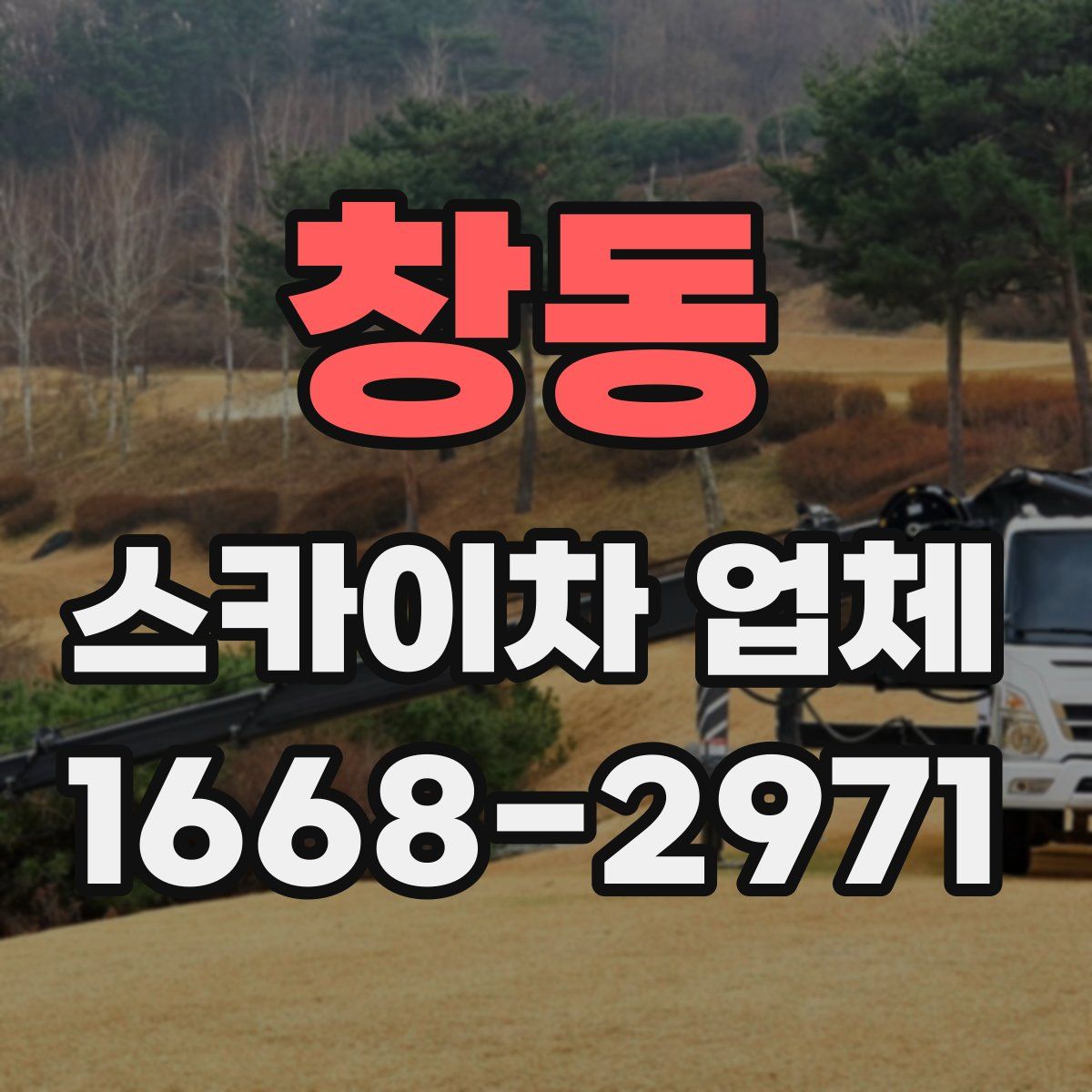 창동 스카이차 업체