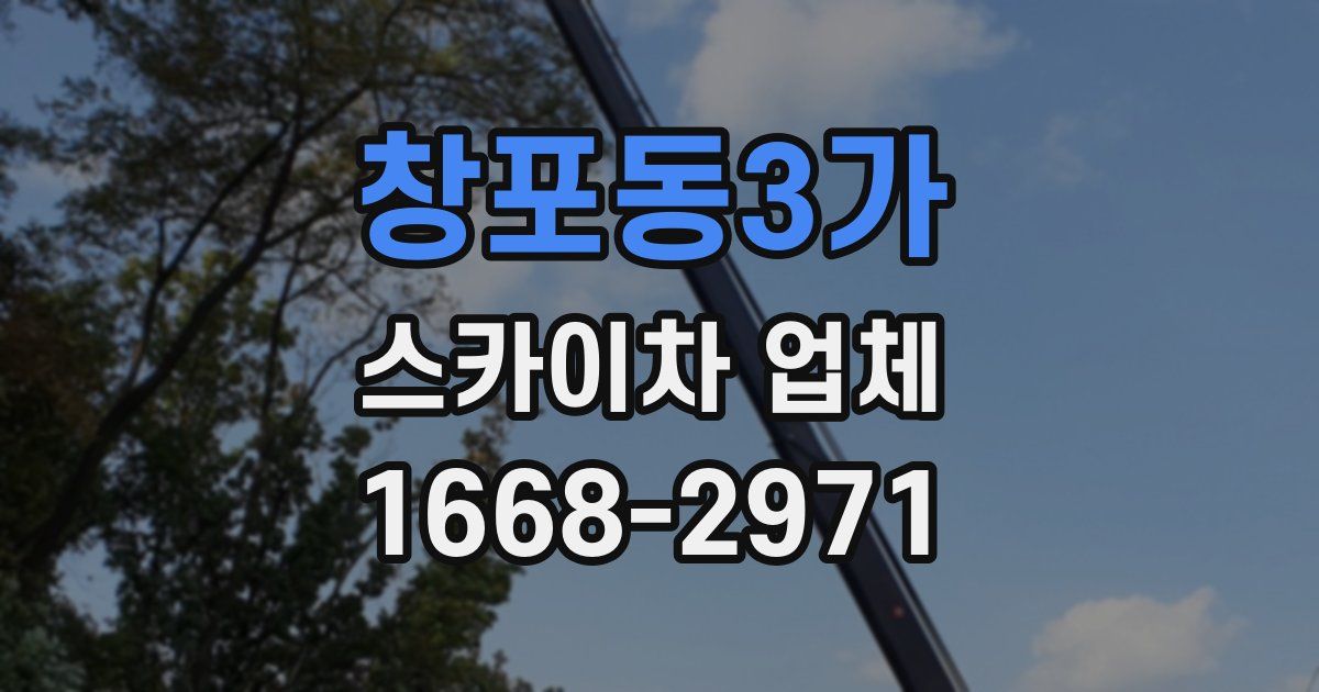창포동3가 스카이차 업체