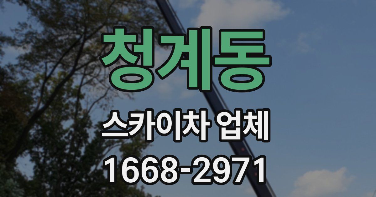 청계동 스카이차 업체