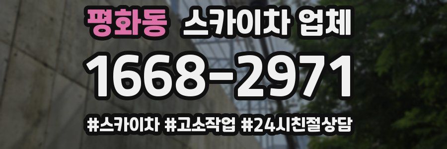 평화동 스카이차 업체
