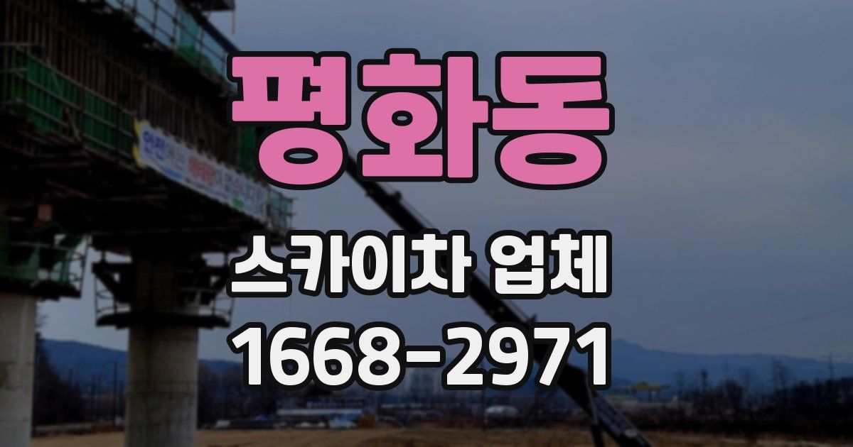 평화동 스카이차 업체