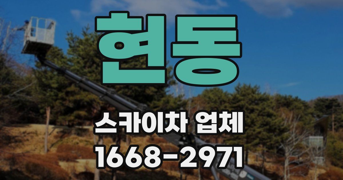 현동 스카이차 업체