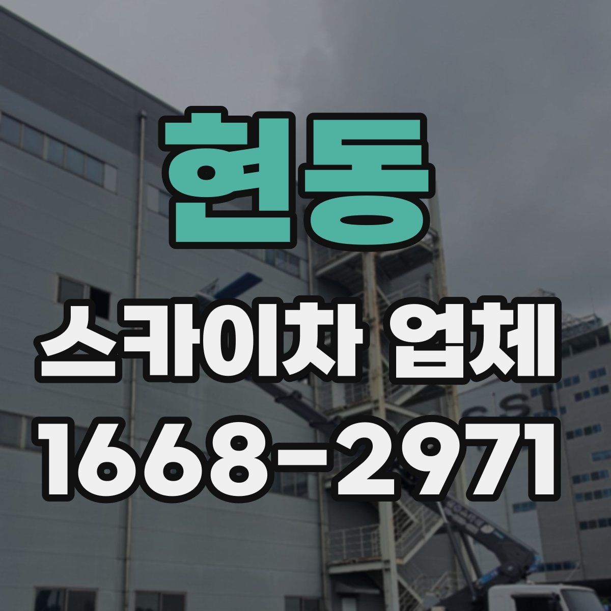 현동 스카이차 업체
