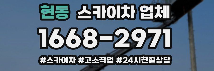 현동 스카이차 업체