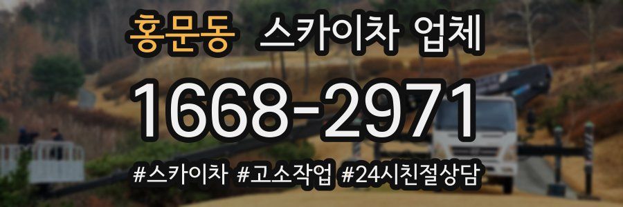 홍문동 스카이차 업체
