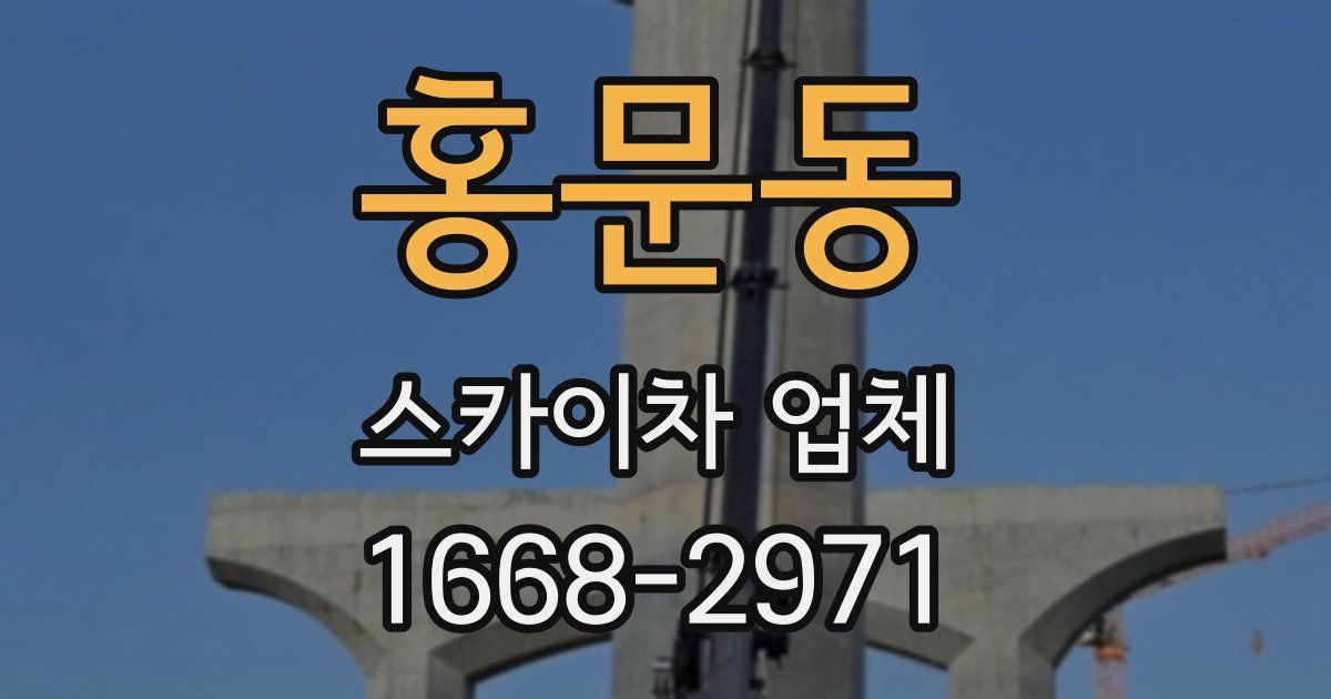 홍문동 스카이차 업체