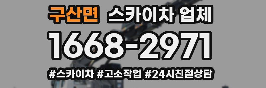 구산면 스카이차 업체